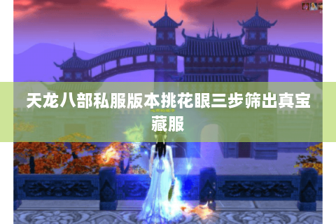天龙八部私服版本挑花眼三步筛出真宝藏服