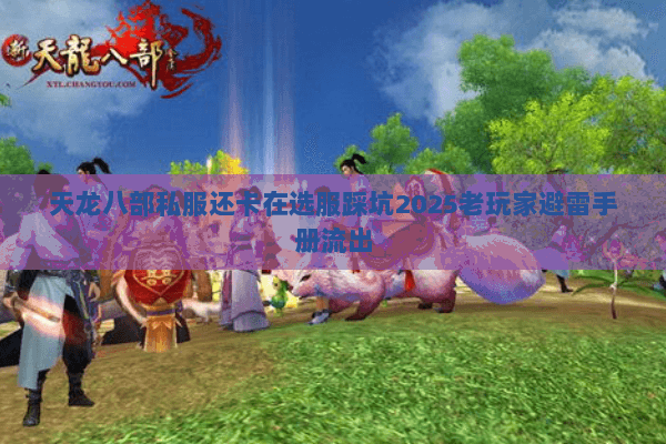 天龙八部私服还卡在选服踩坑2025老玩家避雷手册流出