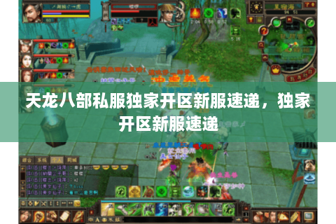 天龙八部私服独家开区新服速递，独家开区新服速递