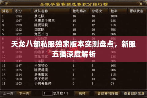 天龙八部私服独家版本实测盘点，新服五强深度解析