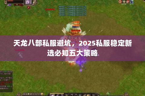 天龙八部私服避坑，2025私服稳定新选必知五大策略