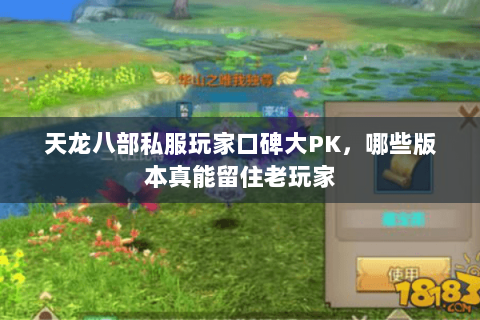 天龙八部私服玩家口碑大PK，哪些版本真能留住老玩家