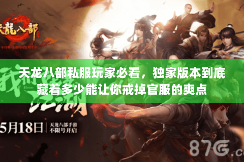 天龙八部私服玩家必看，独家版本到底藏着多少能让你戒掉官服的爽点