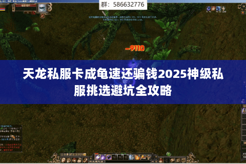 天龙私服卡成龟速还骗钱2025神级私服挑选避坑全攻略