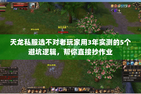 天龙私服选不对老玩家用3年实测的5个避坑逻辑，帮你直接抄作业
