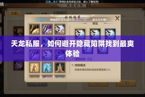 天龙私服，如何避开隐藏陷阱找到最爽体验