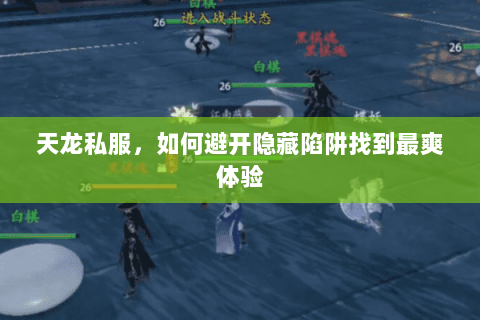 天龙私服，如何避开隐藏陷阱找到最爽体验