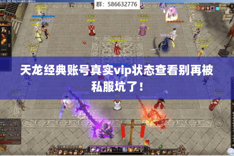 天龙经典账号真实vip状态查看别再被私服坑了！