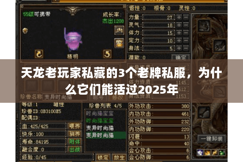 天龙老玩家私藏的3个老牌私服，为什么它们能活过2025年