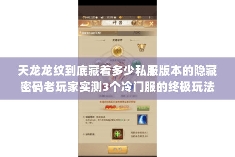 天龙龙纹到底藏着多少私服版本的隐藏密码老玩家实测3个冷门服的终极玩法