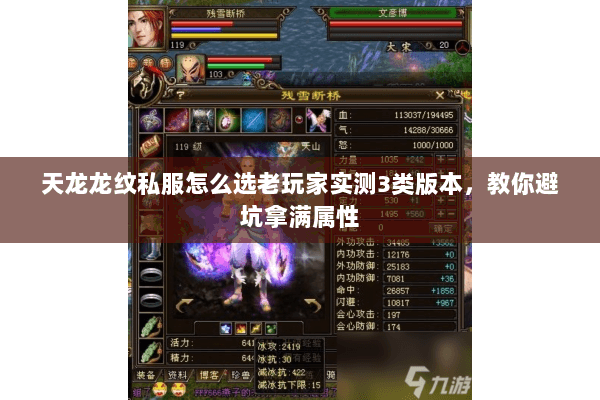 天龙龙纹私服怎么选老玩家实测3类版本，教你避坑拿满属性