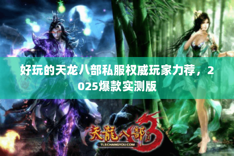 好玩的天龙八部私服权威玩家力荐，2025爆款实测版