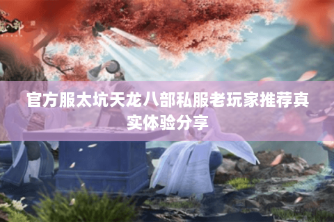 官方服太坑天龙八部私服老玩家推荐真实体验分享