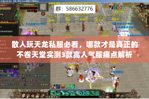 散人玩天龙私服必看，哪款才是真正的不卷天堂实测3款高人气服痛点解析