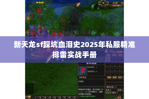 新天龙sf踩坑血泪史2025年私服精准排雷实战手册