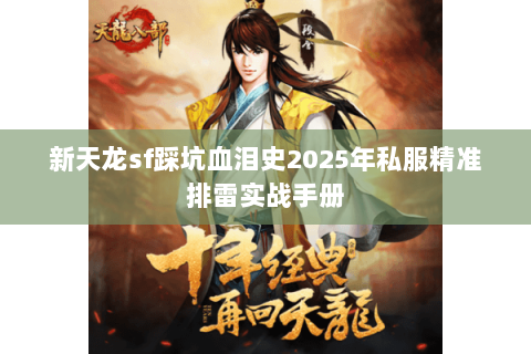 新天龙sf踩坑血泪史2025年私服精准排雷实战手册