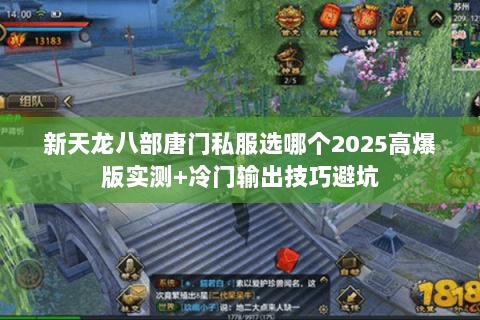 新天龙八部唐门私服选哪个2025高爆版实测+冷门输出技巧避坑