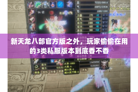 新天龙八部官方版之外，玩家偷偷在用的3类私服版本到底香不香