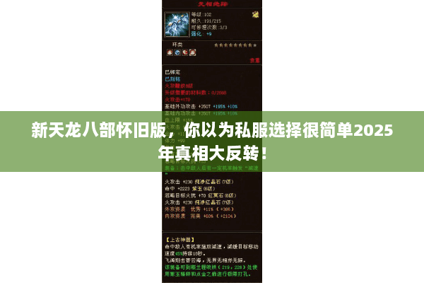 新天龙八部怀旧版，你以为私服选择很简单2025年真相大反转！