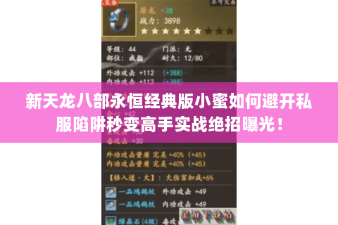 新天龙八部永恒经典版小蜜如何避开私服陷阱秒变高手实战绝招曝光! 新天龙八部永恒经典版小蜜如何避开私服陷阱秒变高手实战绝招曝光!