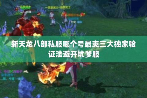 新天龙八部私服哪个号最爽三大独家验证法避开坑爹服