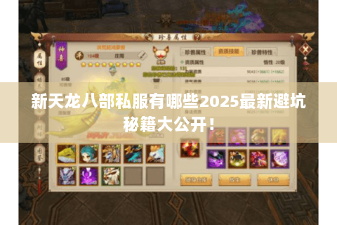 新天龙八部私服有哪些2025最新避坑秘籍大公开！