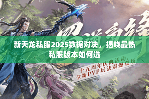 新天龙私服2025数据对决，揭晓最热私服版本如何选