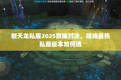 新天龙私服2025数据对决，揭晓最热私服版本如何选