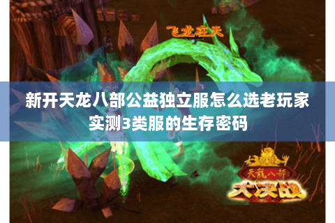 新开天龙八部公益独立服怎么选老玩家实测3类服的生存密码 新开天龙八部公益独立服怎么选老玩家实测3类服的生存密码