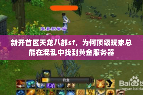 新开首区天龙八部sf，为何顶级玩家总能在混乱中找到黄金服务器