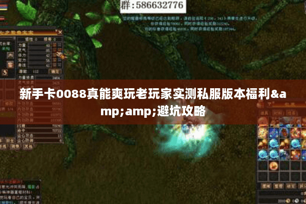 新手卡0088真能爽玩老玩家实测私服版本福利&amp;避坑攻略