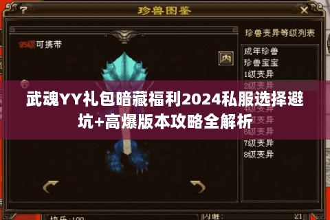 武魂YY礼包暗藏福利2024私服选择避坑+高爆版本攻略全解析