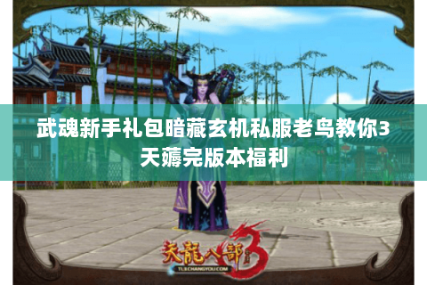 武魂新手礼包暗藏玄机私服老鸟教你3天薅完版本福利