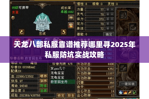 天龙八部私服靠谱推荐哪里寻2025年私服防坑实战攻略