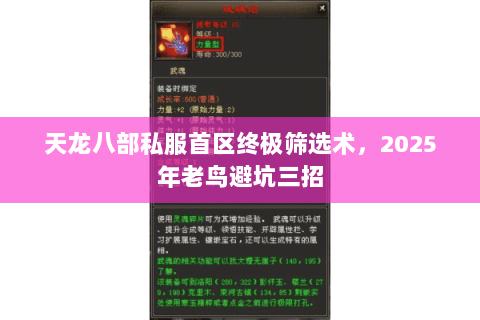 天龙八部私服首区终极筛选术,2025年老鸟避坑三招 天龙八部私服首区终极筛选术,2025年老鸟避坑三招