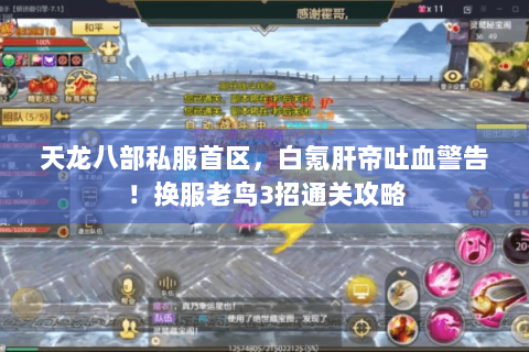 天龙八部私服首区，白氪肝帝吐血警告！换服老鸟3招通关攻略