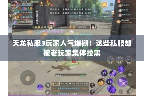 天龙私服3玩家人气爆棚！这些私服却被老玩家集体拉黑