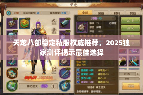 天龙八部稳定私服权威推荐，2025独家测评揭示最佳选择