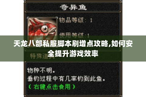 天龙八部私服脚本刷增点攻略,如何安全提升游戏效率