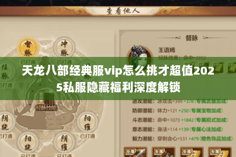 天龙八部经典服vip怎么挑才超值2025私服隐藏福利深度解锁