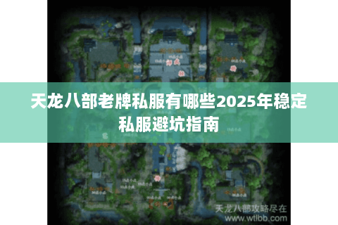 天龙八部老牌私服有哪些2025年稳定私服避坑指南