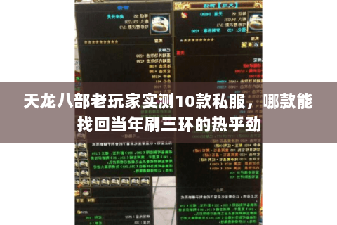 天龙八部老玩家实测10款私服,哪款能找回当年刷三环的热乎劲 天龙八部老玩家实测10款私服,哪款能找回当年刷三环的热乎劲