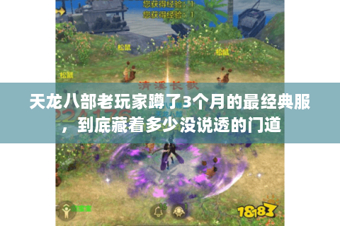 天龙八部老玩家蹲了3个月的最经典服，到底藏着多少没说透的门道