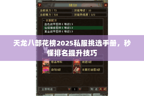 天龙八部花榜2025私服挑选手册，秒懂排名提升技巧