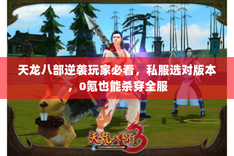 天龙八部逆袭玩家必看，私服选对版本，0氪也能杀穿全服