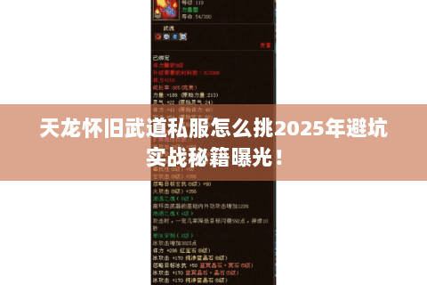 天龙怀旧武道私服怎么挑2025年避坑实战秘籍曝光！