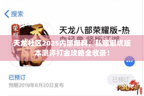 天龙社区2025内部爆料，私服避坑版本测评打金攻略全收录！