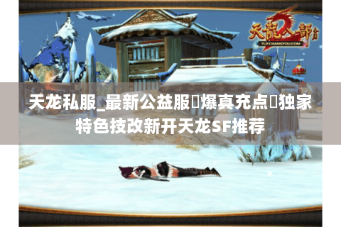 天龙私服_最新公益服▷爆真充点◁独家特色技改新开天龙SF推荐