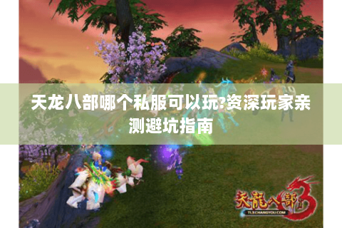 天龙八部哪个私服可以玩?资深玩家亲测避坑指南