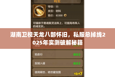 湖南卫视天龙八部怀旧，私服总掉线2025年实测破解秘籍